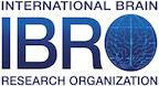 IBRO / International Brain Research Organization