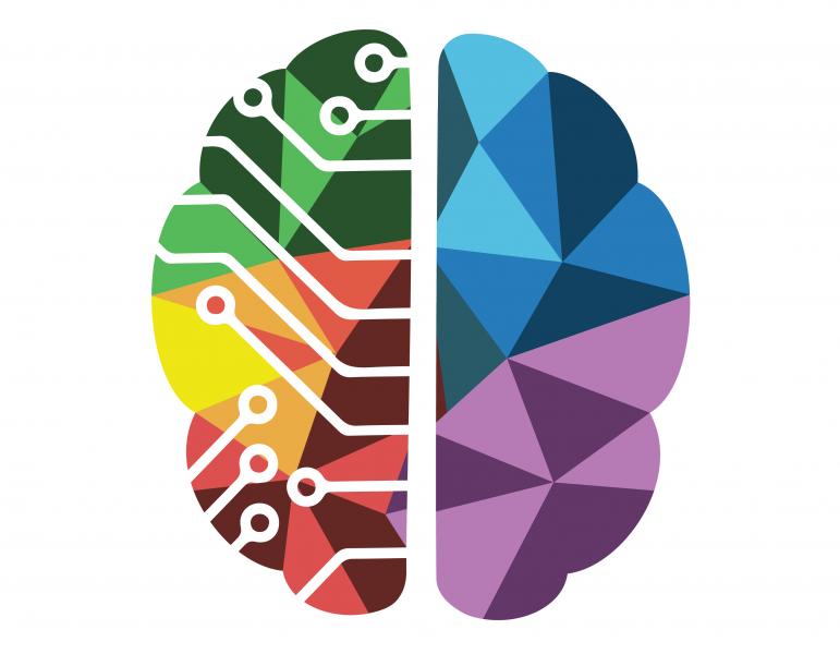 Two-lobed brain illustration with bright colored segmentations